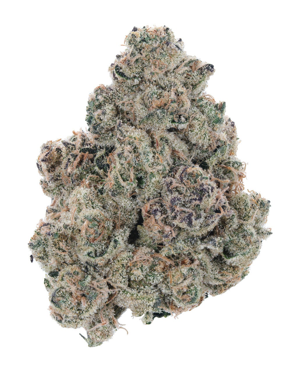 Top Shelf Cali Raisin High Thca Hemp Flower Available At Piedmont Green